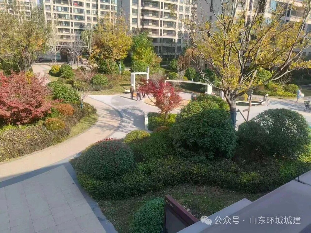 2025年环城城建承接多个园区景观绿化养护项目，自养护项目实施以来，项目团队有序推进···